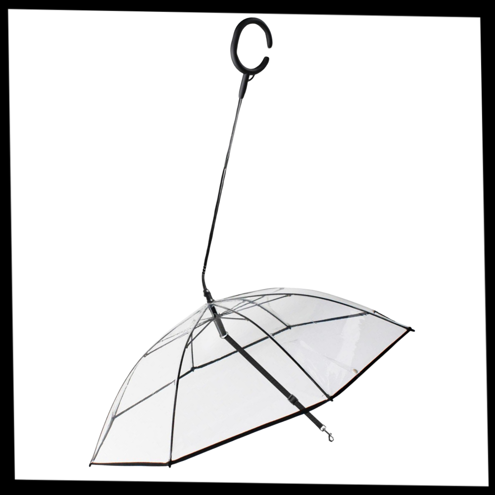 Laisse parapluie transparente pour chien