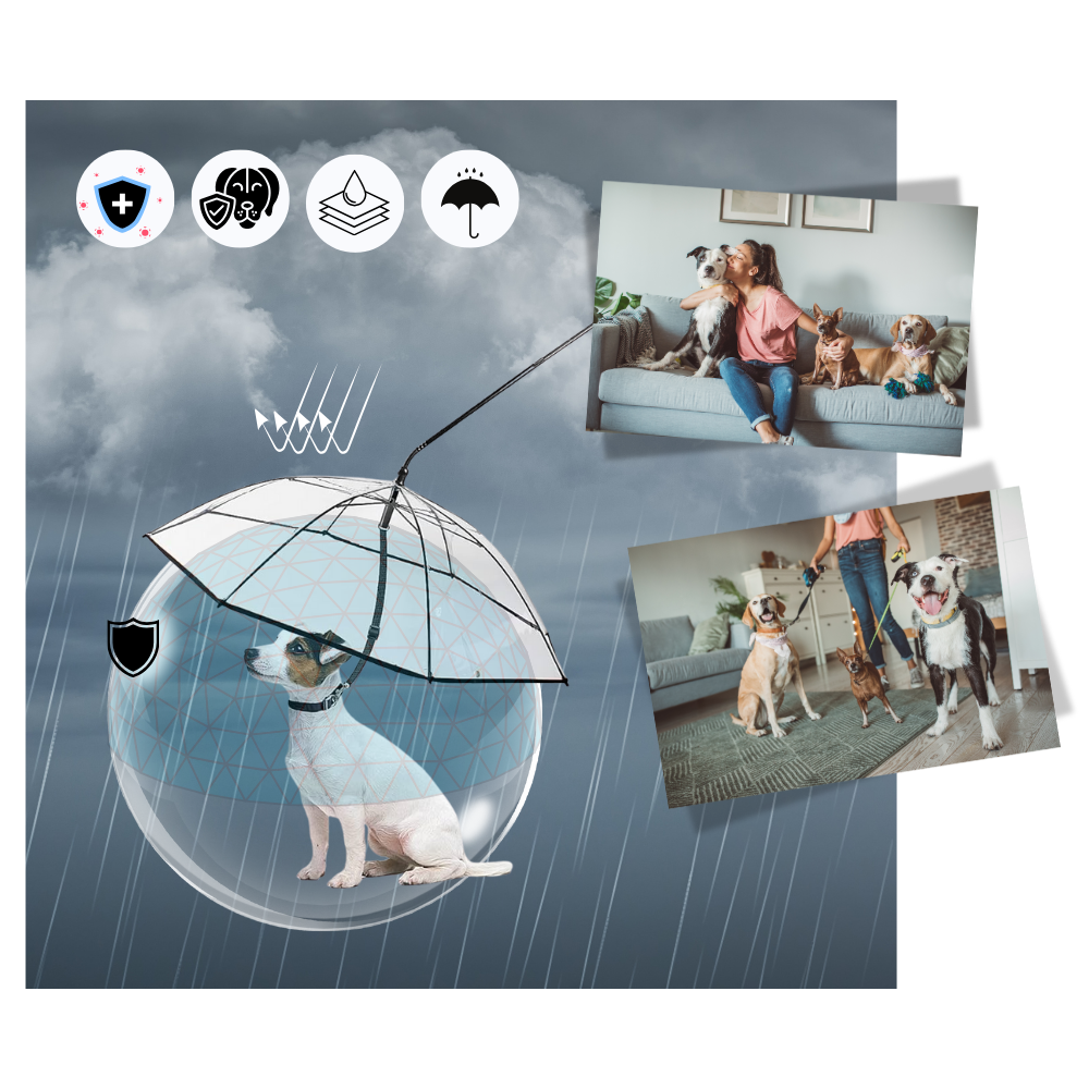 Laisse parapluie transparente pour chien