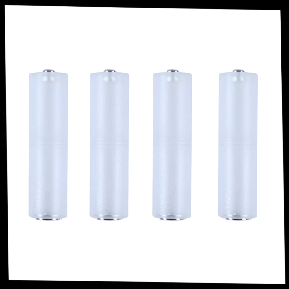 Convertisseur universel de piles AAA à AA