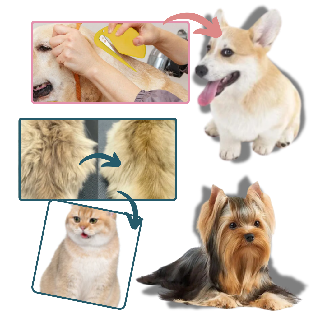 Démêloir polyvalent pour animaux de compagnie