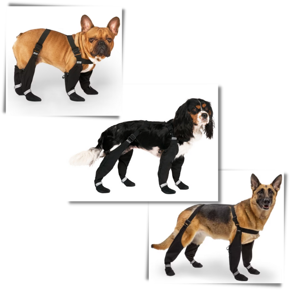 Bottes à bretelles imperméables pour chiens